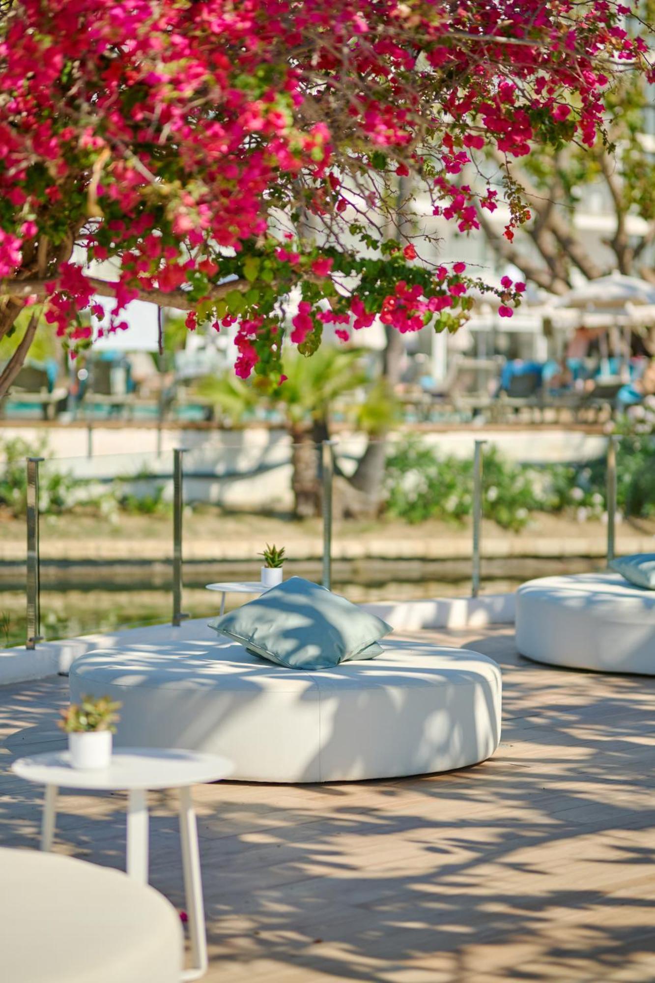 โรงแรม รอค บอกกัชโช Port de Alcudia  ภายนอก รูปภาพ